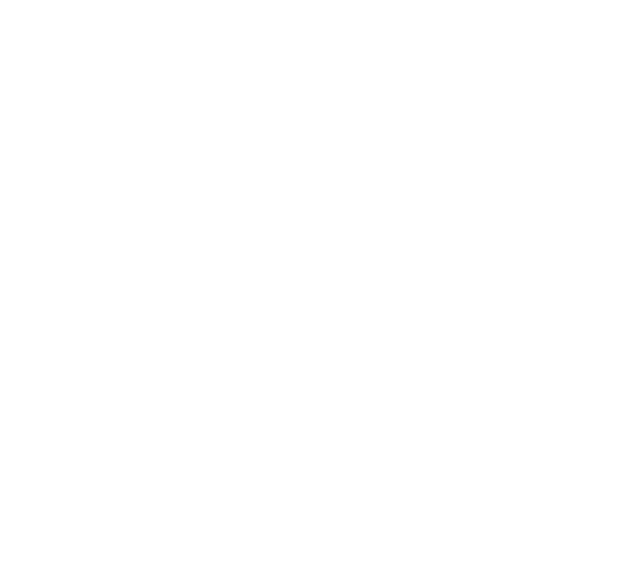 Pycon Ireland logo