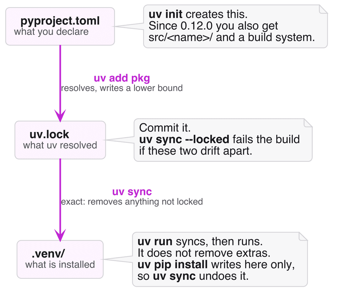 A diagram showing uv add writing pyproject.toml to uv.lock, and uv sync writing uv.lock into .venv